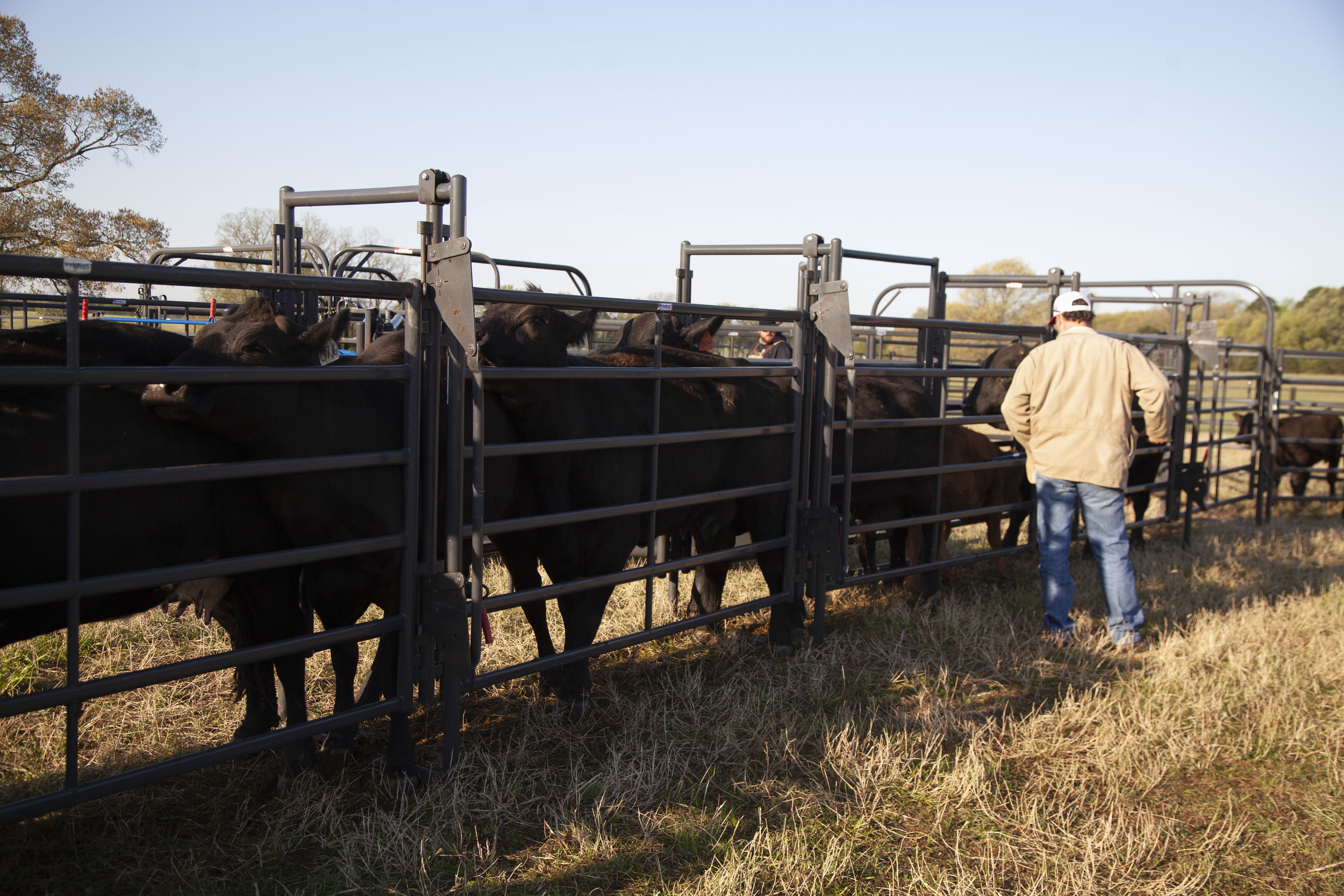 Premier System Adjustable Alley 27.jpg